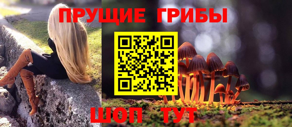 Псилоцибиновые грибы Cubensis Красный Сулин
