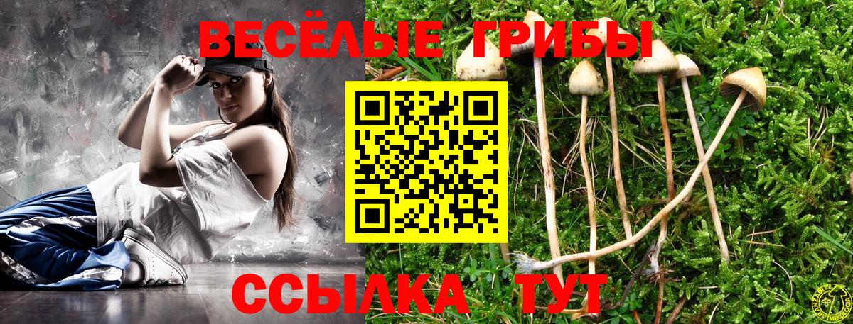 Псилоцибиновые грибы Magic Shrooms  Вход с VPN  Галлюциногенные грибы MAGIC MUSHROOMS  Красный Сулин 